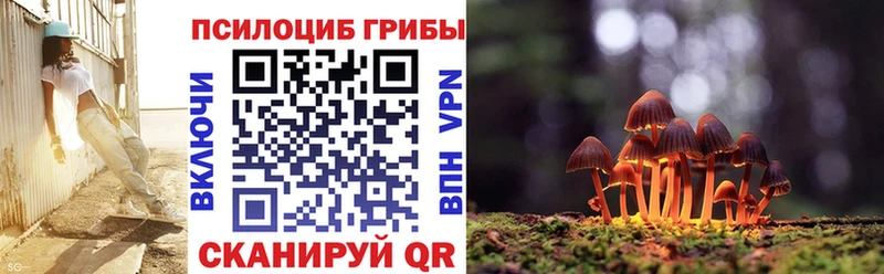 Псилоцибиновые грибы мухоморы  Питкяранта 