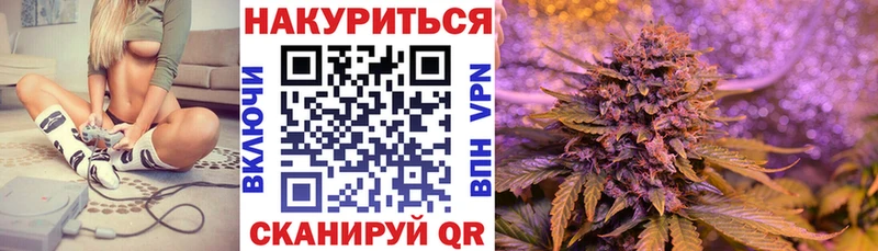 Конопля сатива  где купить наркоту  OMG как войти  Питкяранта 